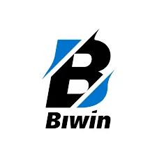 BIWIN - Strategi dan Keberhasilan di Dunia SLG